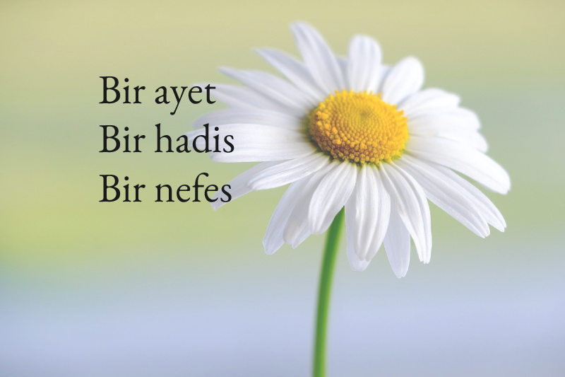 BİR AYET-BİR HADİS-BİR NEFES